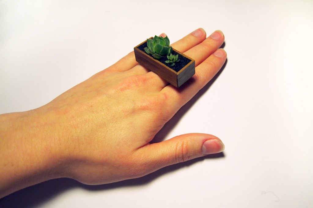 THE AGENCY OF A PLANT