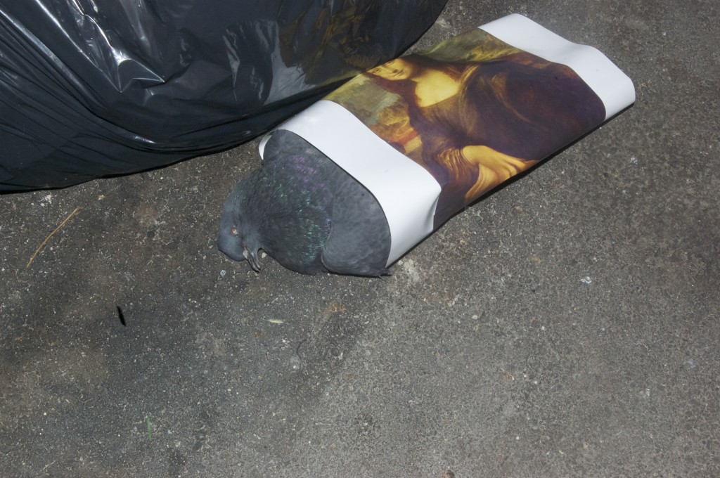 Discarded